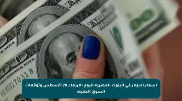 أسعار الدولار في البنوك المصرية اليوم الأربعاء 20 أغسطس وتوقعات السوق المقبلة